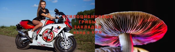 прущая мука Пестово