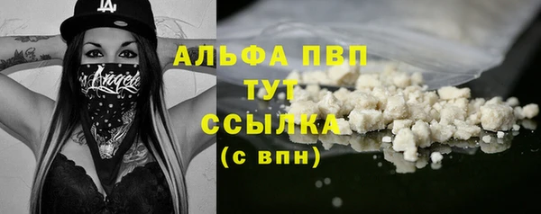 ПСИЛОЦИБИНОВЫЕ ГРИБЫ Пересвет