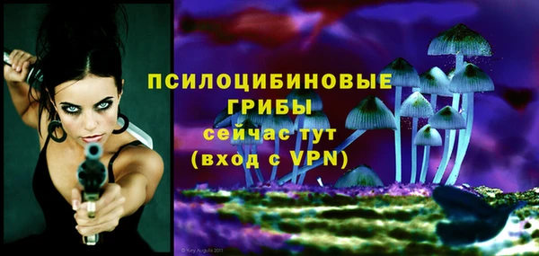 PSILOCYBIN Абдулино